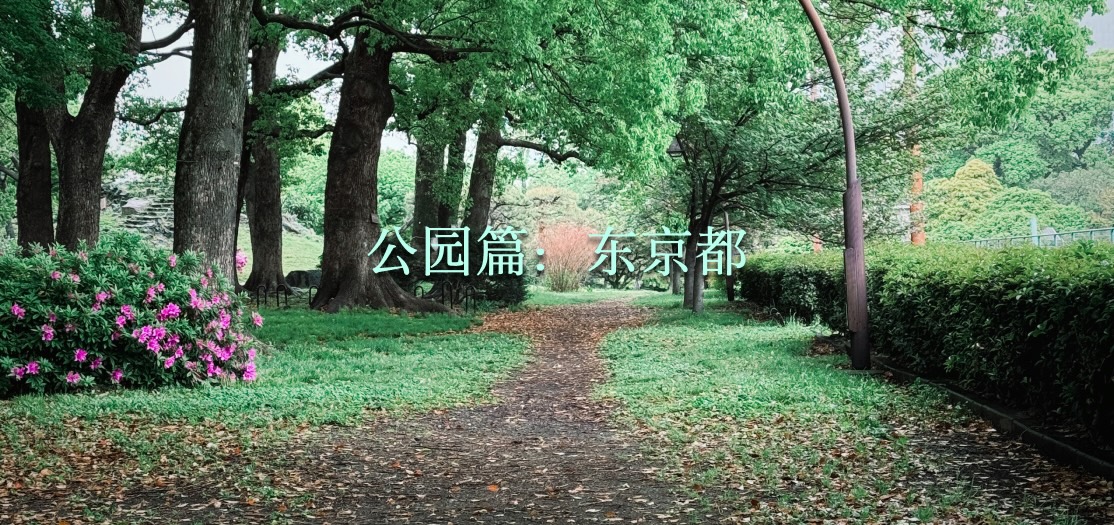 标题图