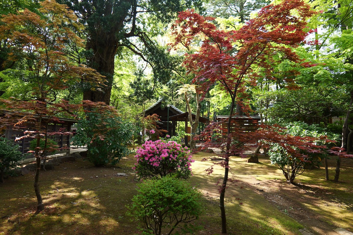 豪德寺