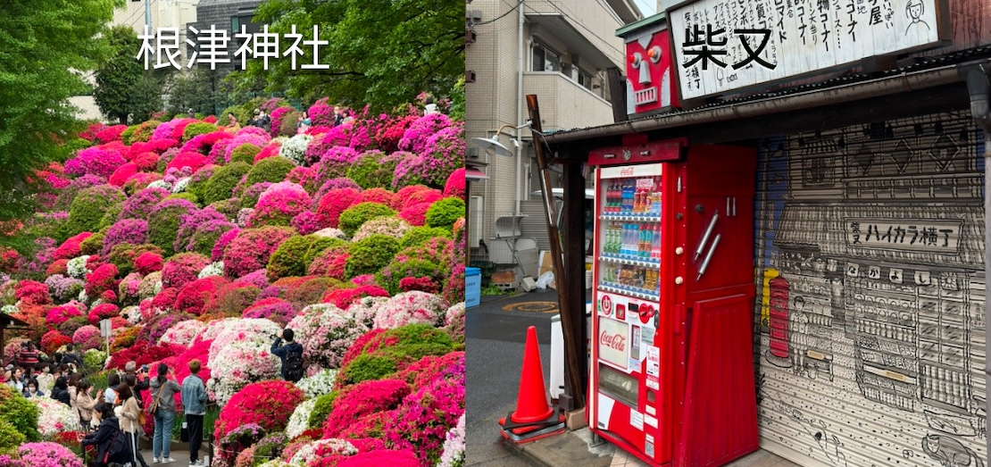 标题