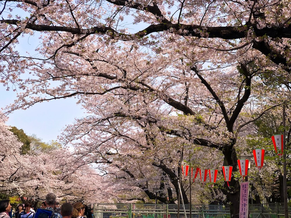 上野公园